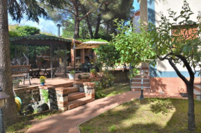 Гостиница B&B Betulla dell'Etna, Николози